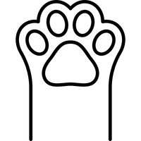 Custom cursor click